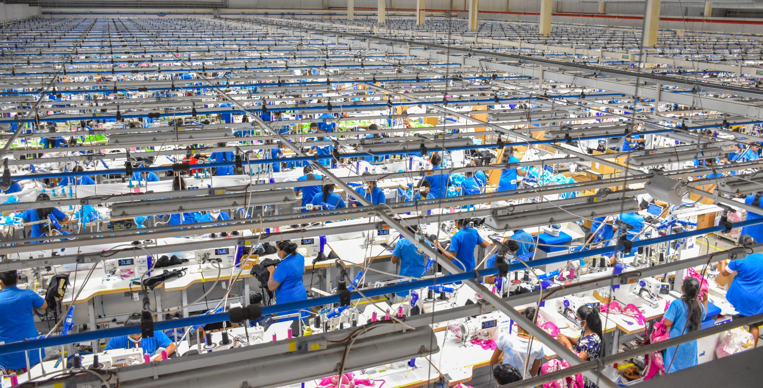 Working at Omega Line Ltd